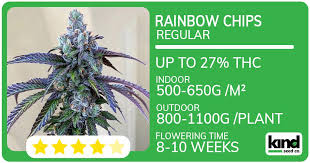 Cannabis Seeds South Carolina A Comprehensive Guide