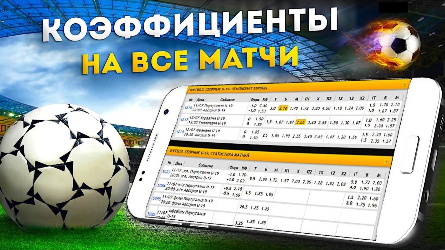 Все, что нужно знать о Wowbet Ваш гид в мире азартных игр