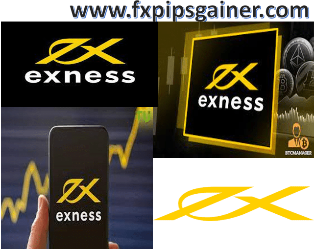 Maximizing Your Profit with Exness ECN Rebate Maximizing Your Profit with Exness ECN Rebate